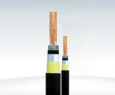 16982880897055.jpg 耐火电缆NH-VV-NH-VV22.jpg