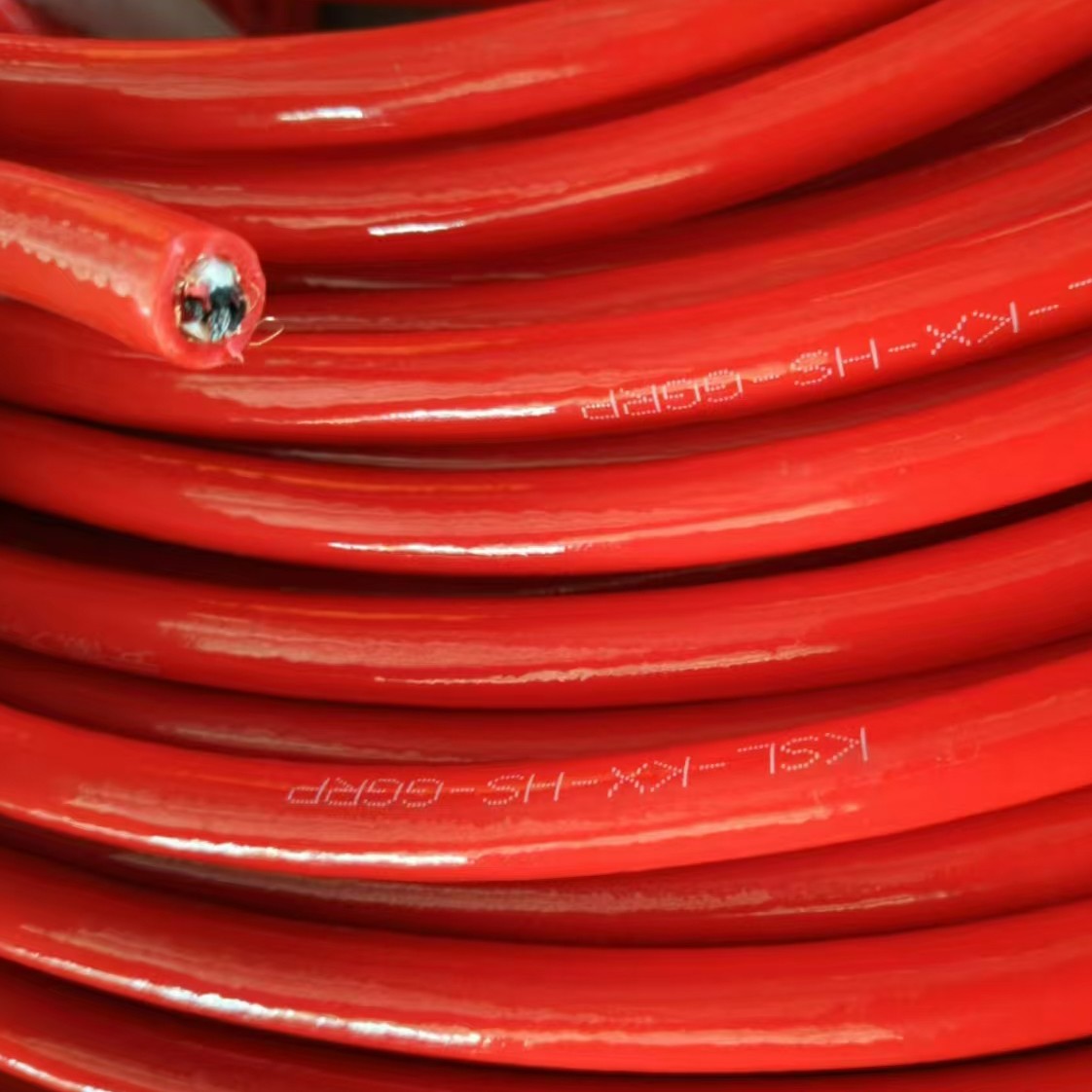 17367581401960.jpg 17364155272425.jpg