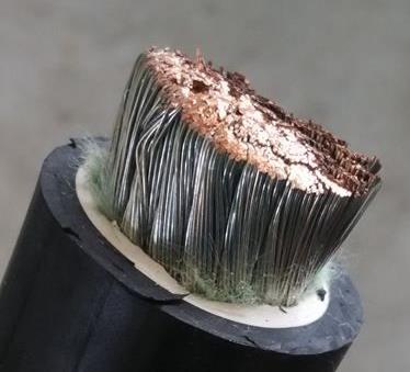 17600625622272.jpg 16498379361895.jpg